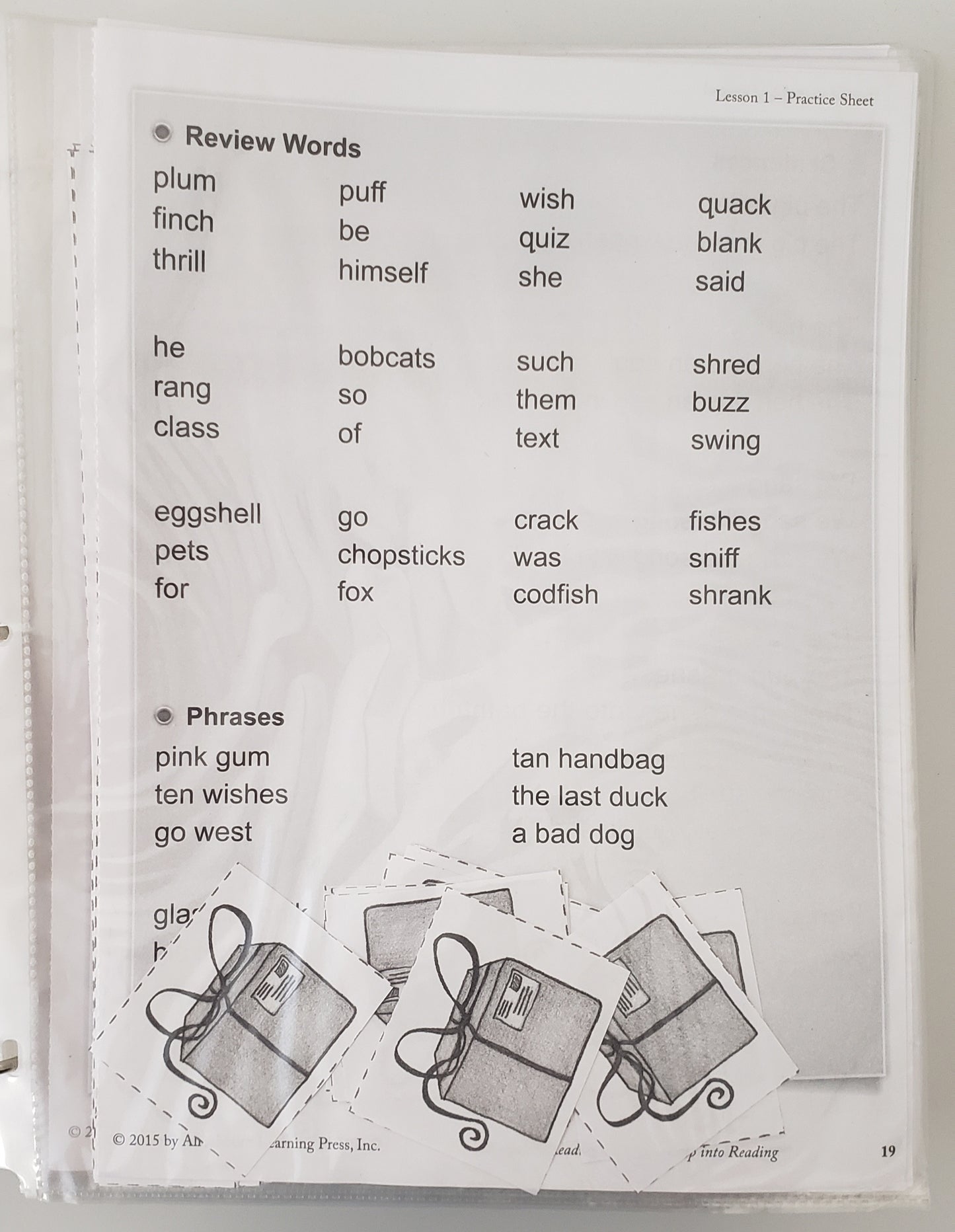 All About Reading Level 2 Activity Book Leap Into Reading