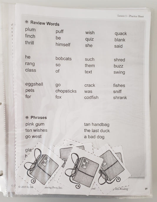 All About Reading Level 2 Activity Book Leap Into Reading