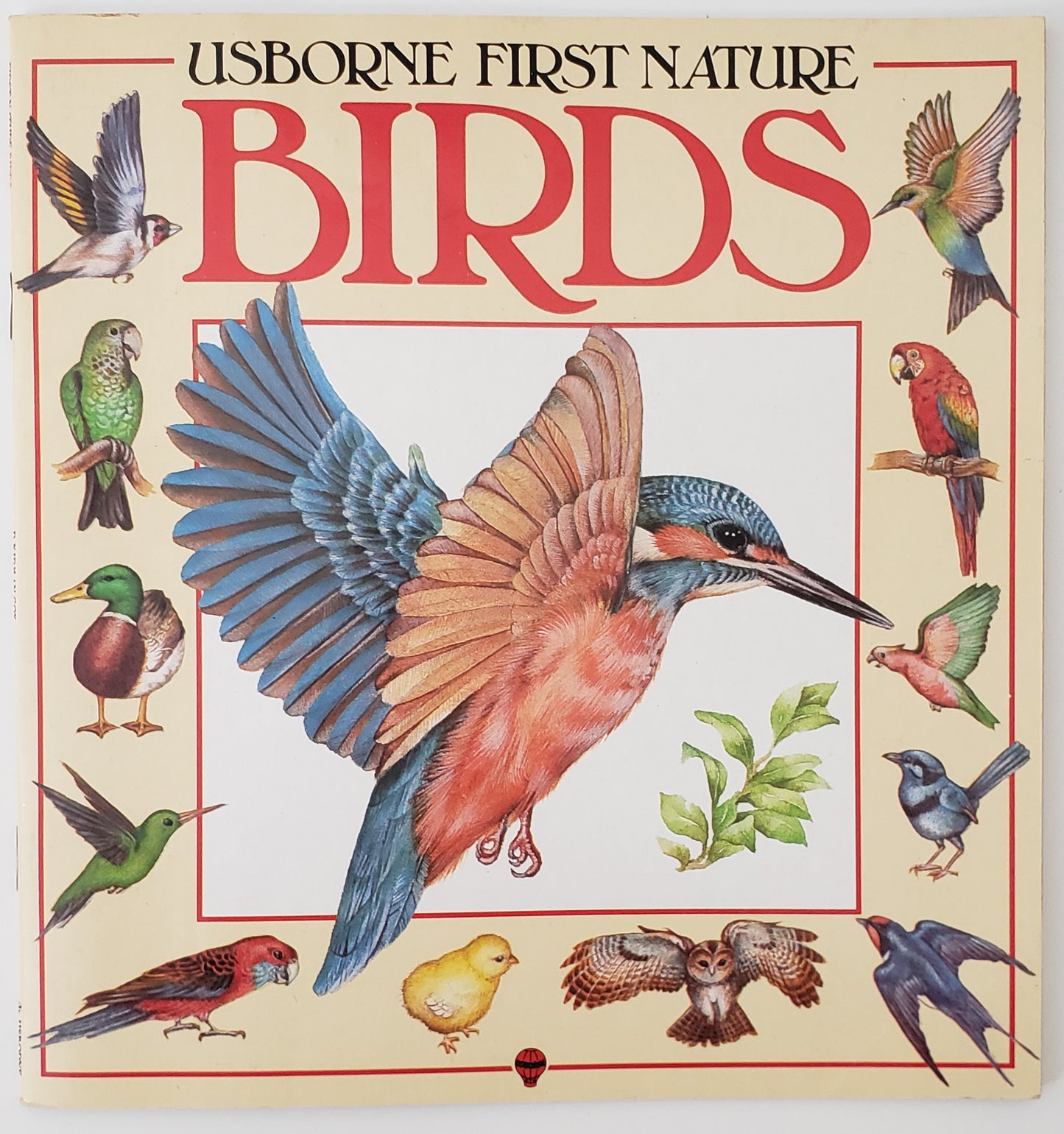 Birds