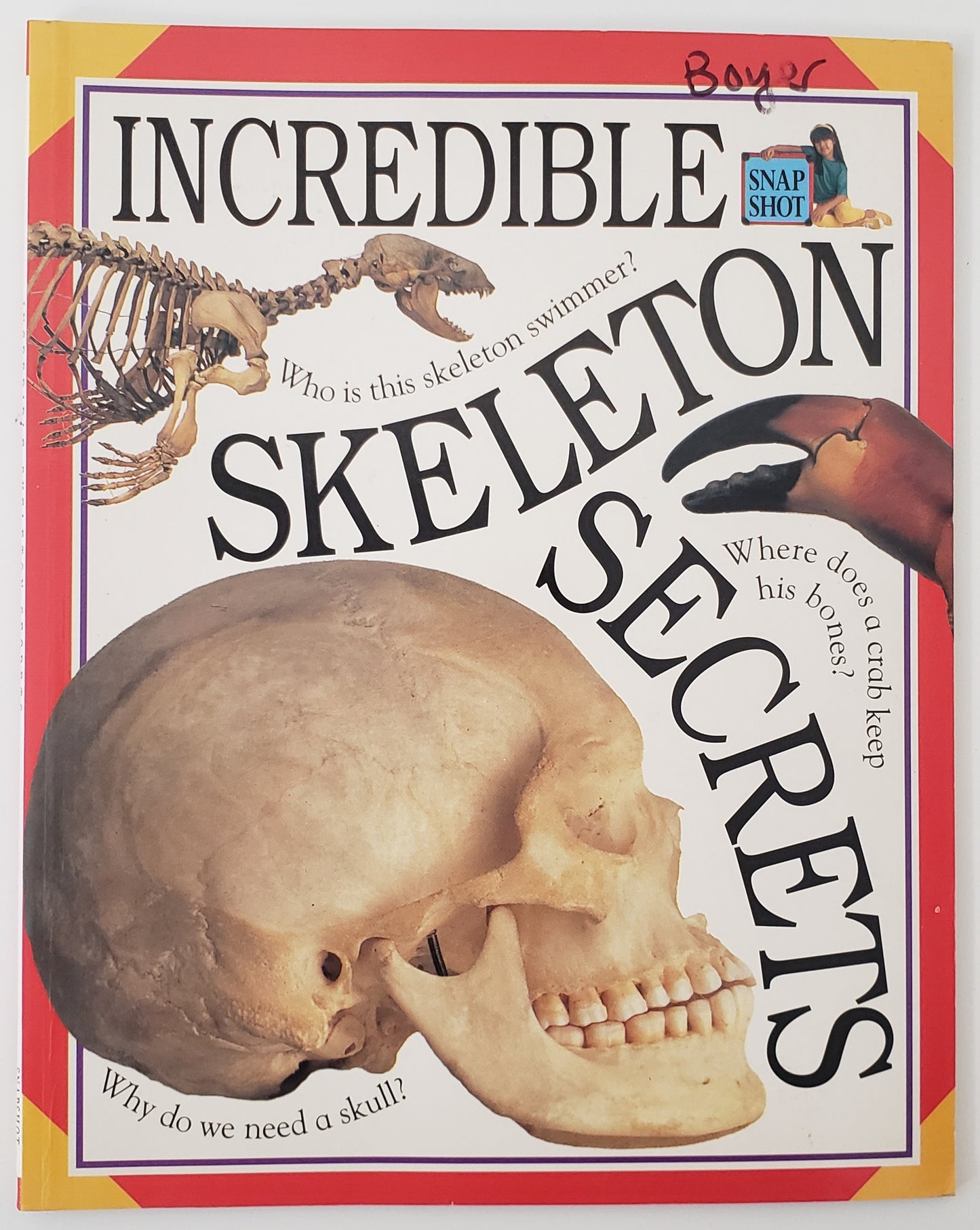 Skeleton Secrets