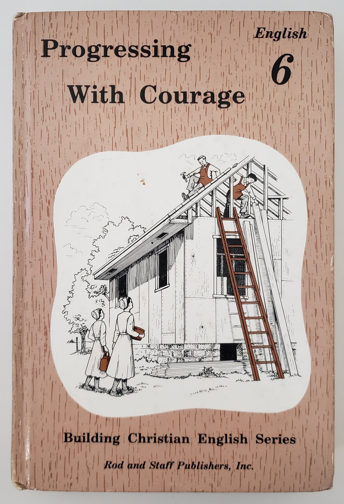Progressing with Courage English 6 Pupil Textbook
