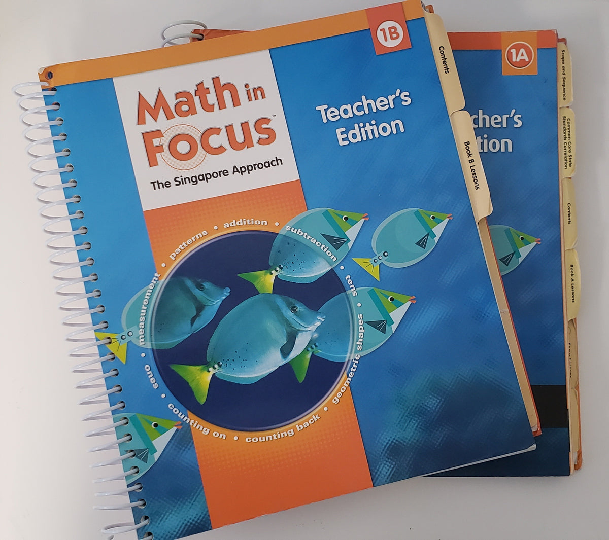 Math in Focus Singapore Math Teacher's Edition 1A & 1B
