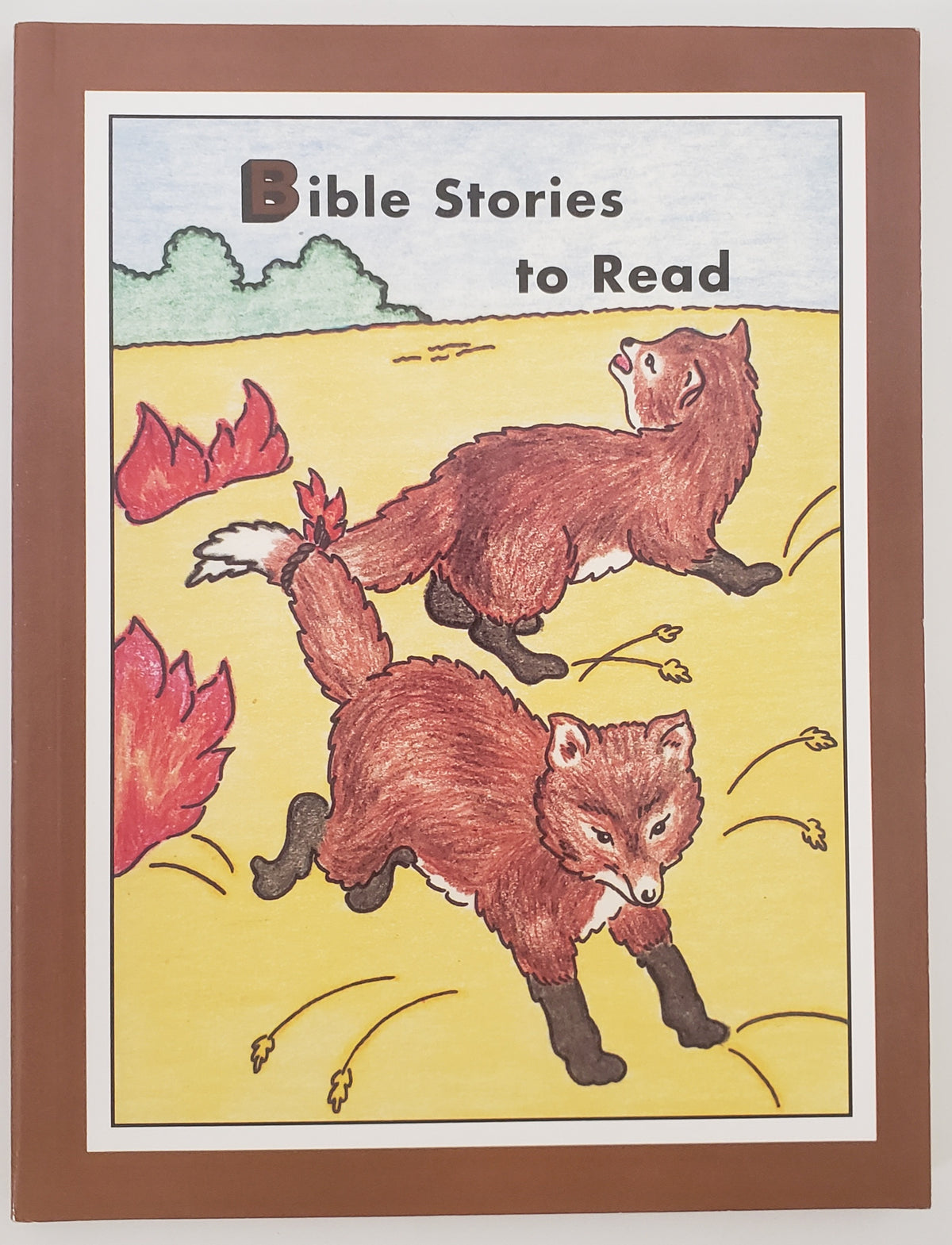 Bible Stories to Read