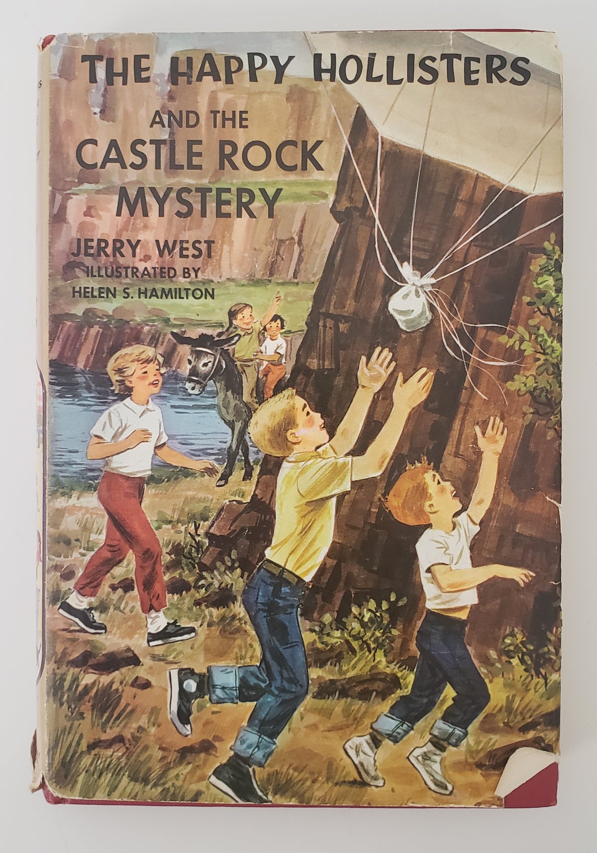 Happy Hollisters and the Castle Rock Mystery