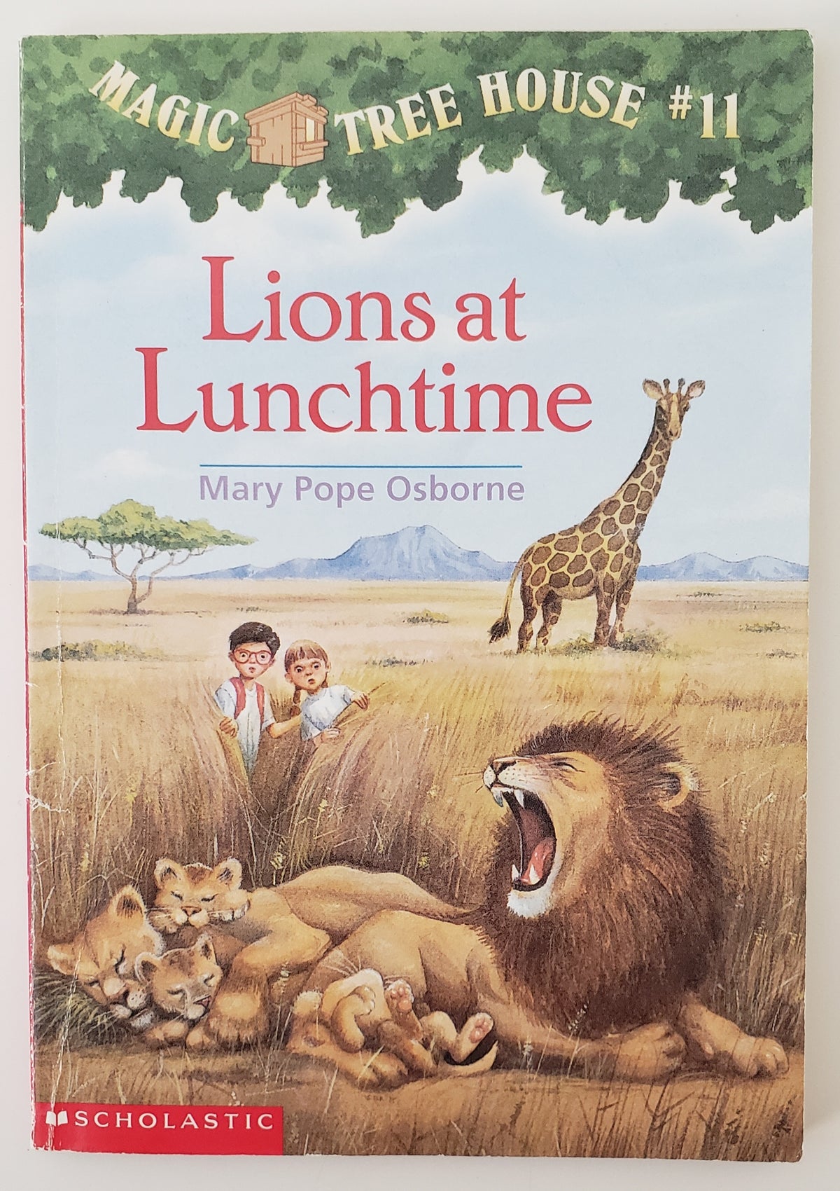 Lions at Lunchtime
