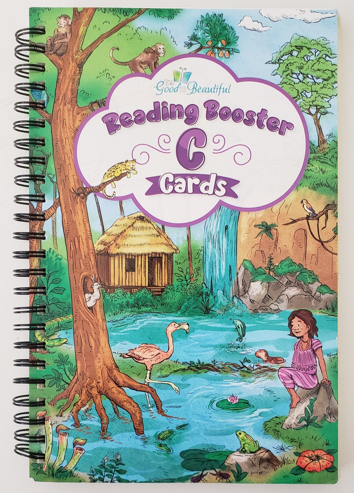 Reading Booster Cards C