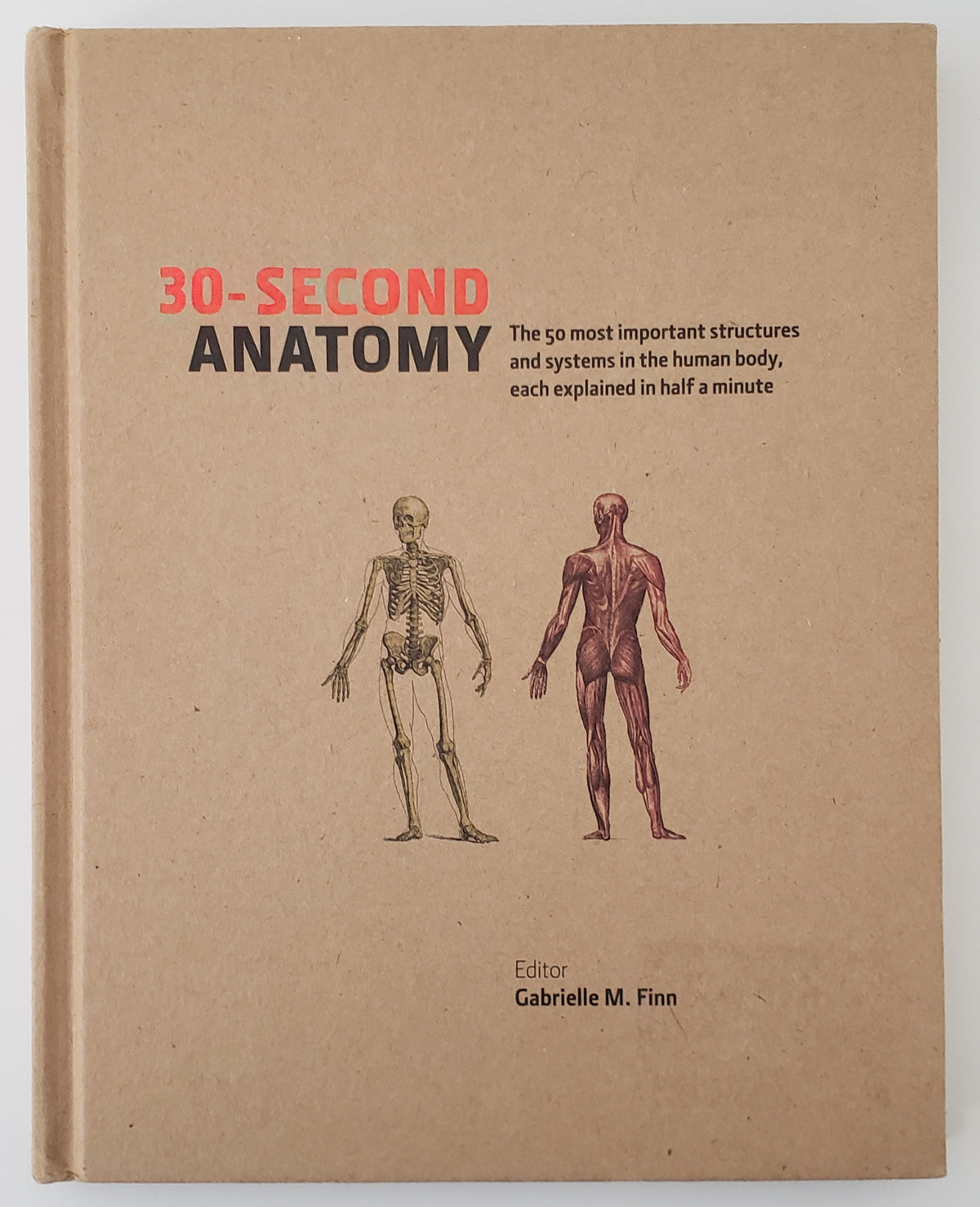 30-second anatomy: