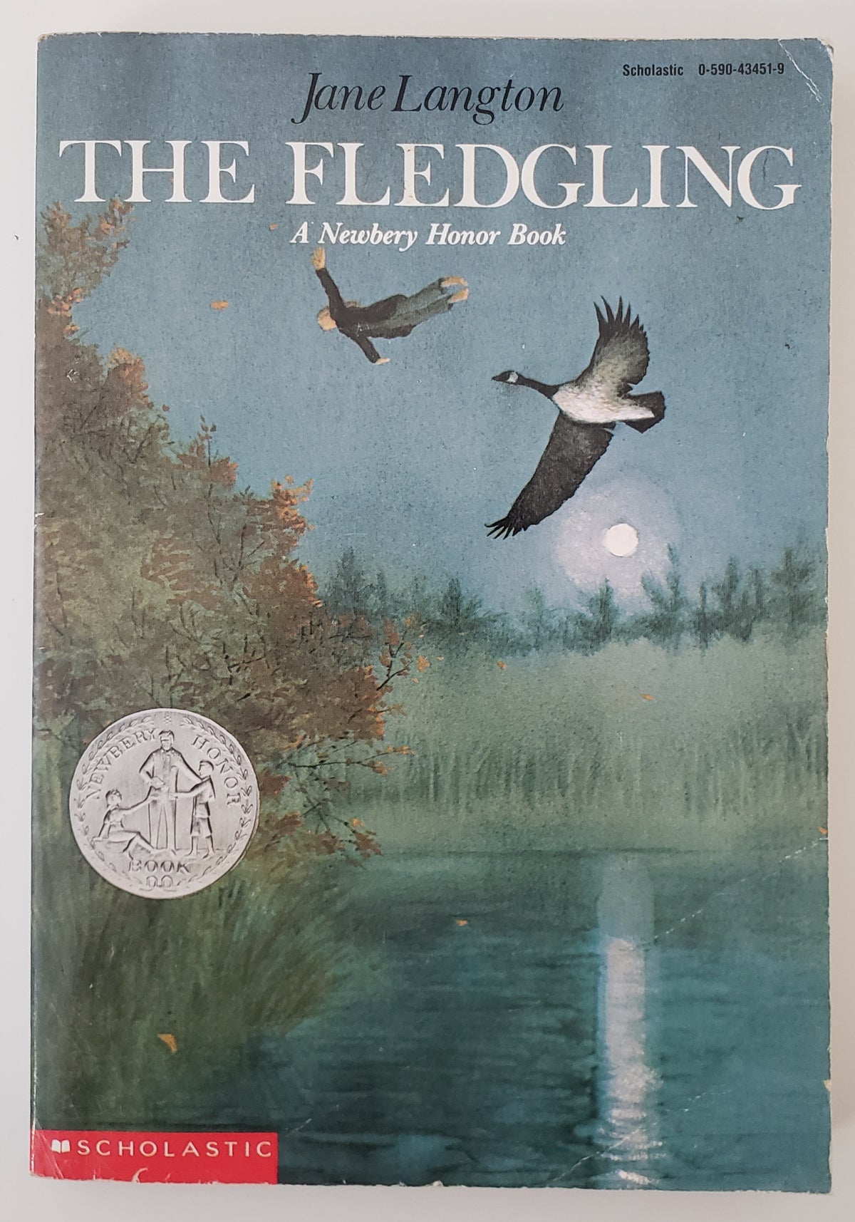 The fledgling