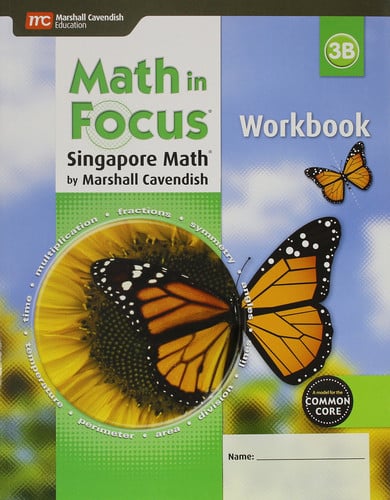 Math in Focus Singapore Math Workbook 3B
