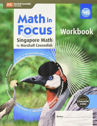Math in Focus Singapore Math Grade 4B