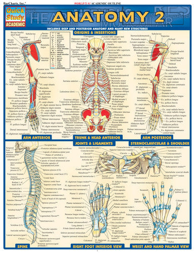 Anatomy 2 - Reference Guide (8. 5 X 11) A QuickStudy Laminated Reference Guide