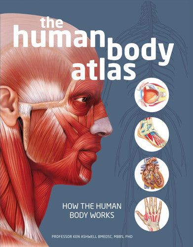 The Human Body Atlas How the human body works