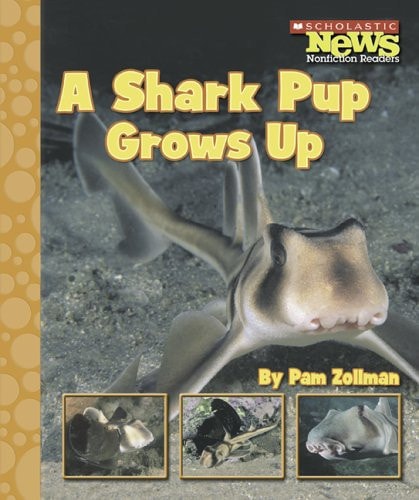A Shark Pup Grows Up (Scholastic News Nonfiction Readers)