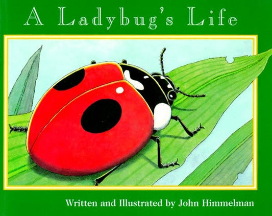 A Ladybug's Life (Nature Upclose)