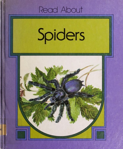 Spiders