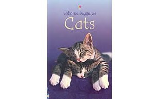 Cats (Beginners)