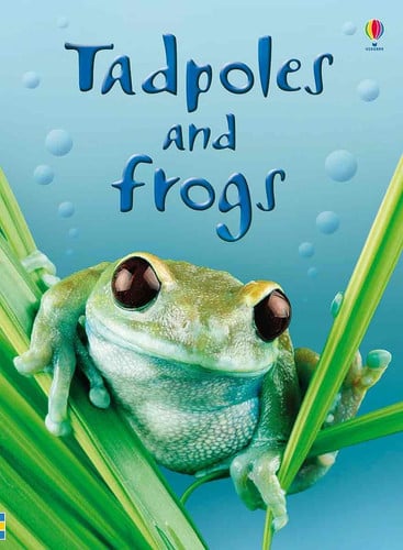 Tadpoles and Frogs