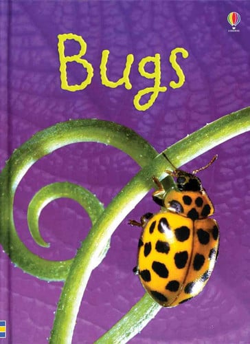 Bugs (Usborne Beginners)