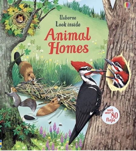 Usborne Look Inside Animal Homes
