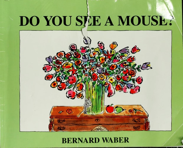 Do You See a Mouse?