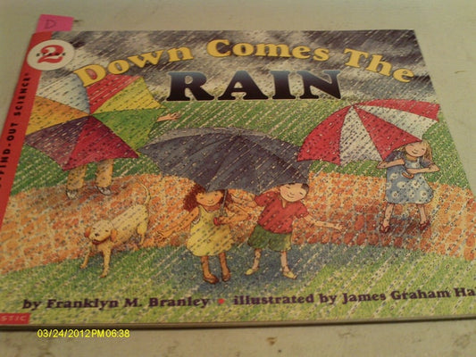 Down Comes the Rain