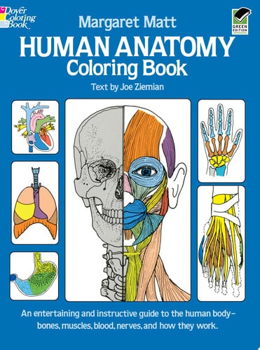 Human Anatomy Coloring Book