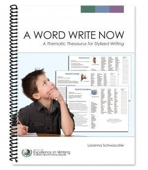 A Word Write Now: A Thematic Thesaurus for Stylized Writing