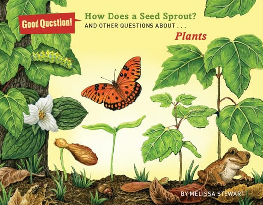 How Does a Seed Sprout? And Other Questions about Plants