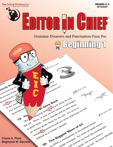 Editor in Chief Beginning 1 Grammar Disasters and Punctuation Faux Pas