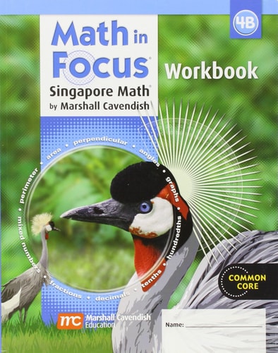 Math in Focus: The Singapore Approach, Workbook 4A
