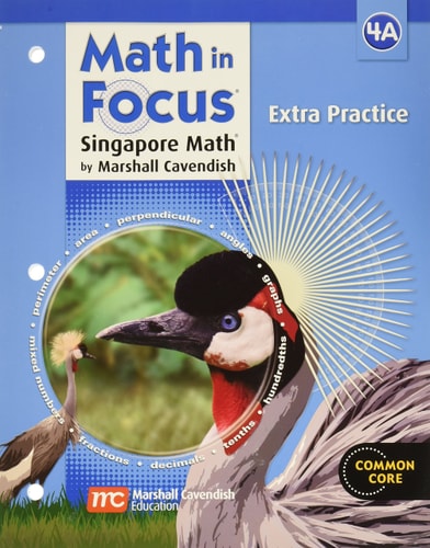 Math in Focus: The Singapore Approach Extra Practice