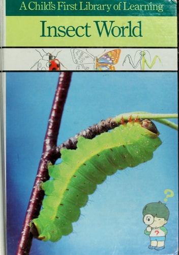 Insect World