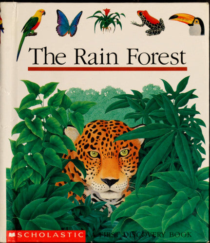 The Rain Forest