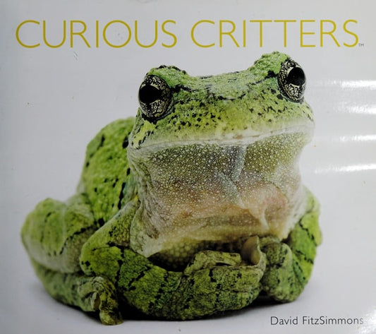 Curious Critters
