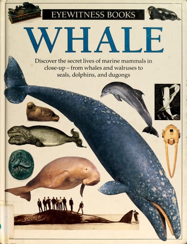 Whale