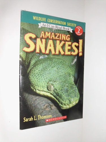 Amazing Snakes!