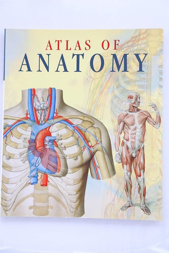 Atlas of anatomy