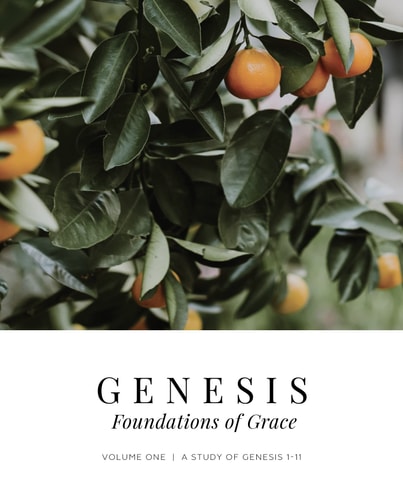 Genesis Vol. 1: Foundations of Grace