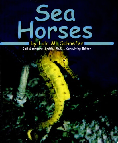 Sea Horses (Ocean Life)