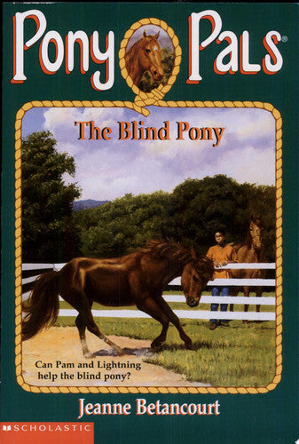 The Blind Pony