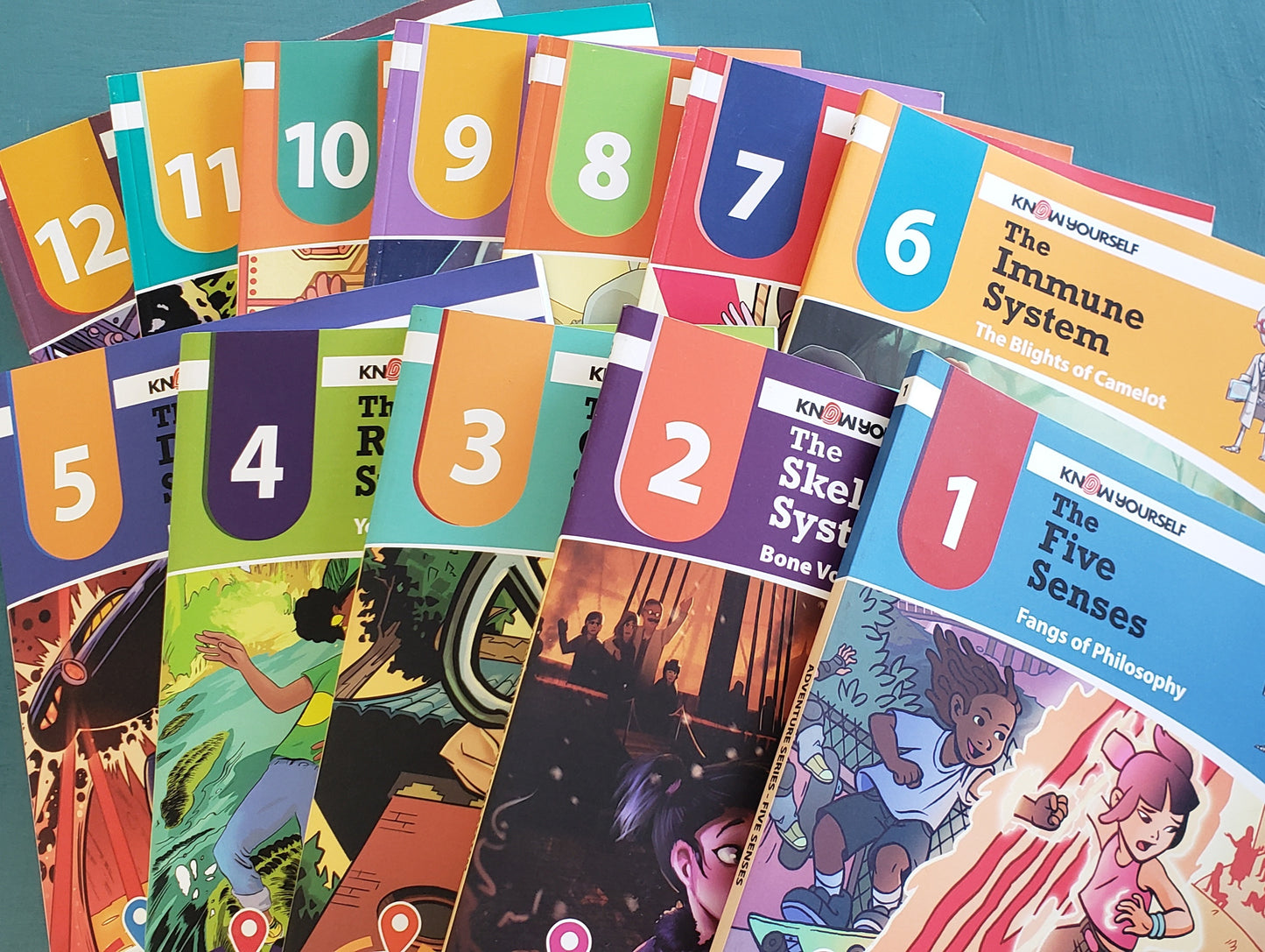 Systems of the Body: Adventure Series 12 Book Set